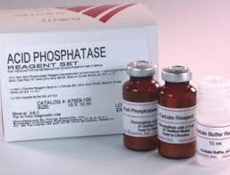 Acid-phosphatase